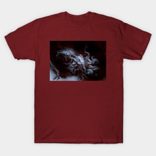 He is looking for you T-Shirt